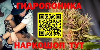 бошки Лесосибирск