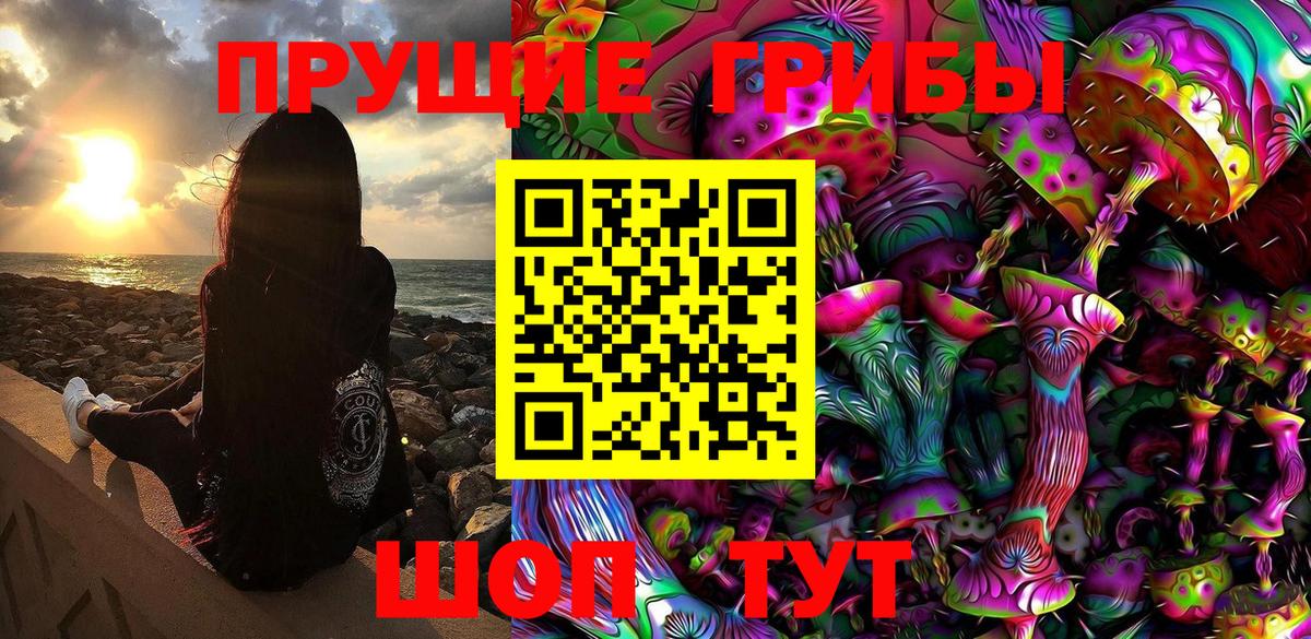 Галлюциногенные грибы Psilocybe Урай